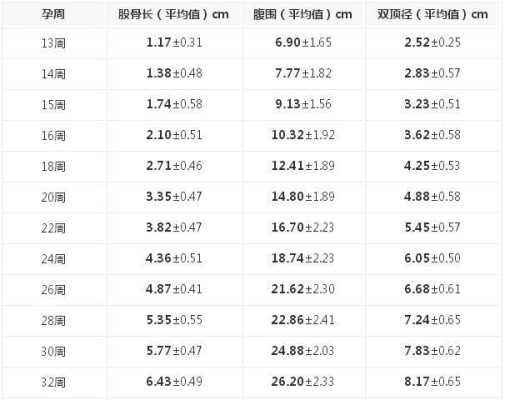 胎儿股骨是哪个部位(股骨长是不是代表宝宝以后的腿长) 第2张 胎儿股骨是哪个部位(股骨长是不是代表宝宝以后的腿长) 第2张