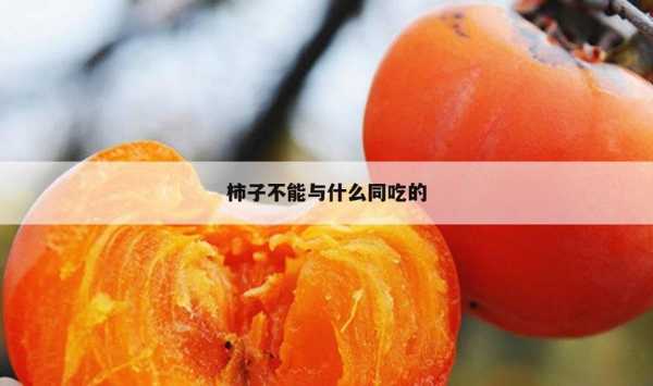 孕妇吃柿子对胎儿有影响吗(柿子不能和什么食物一起吃) 第2张 孕妇吃柿子对胎儿有影响吗(柿子不能和什么食物一起吃) 第2张