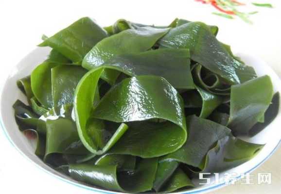 孕期可以吃海带吗(怀孕吃海带好吗) 第2张 孕期可以吃海带吗(怀孕吃海带好吗) 第2张