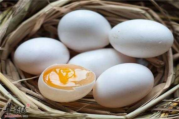 孕妇吃鸽子蛋对胎儿有什么好处(孕妇吃鸽子蛋最佳时期) 第2张 孕妇吃鸽子蛋对胎儿有什么好处(孕妇吃鸽子蛋最佳时期) 第2张