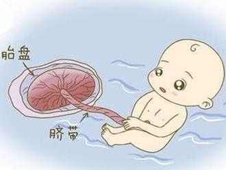 胎儿窒息(胎儿窒息) 第2张 胎儿窒息(胎儿窒息) 第2张