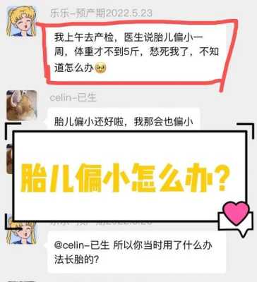 胎儿偏小怎么办(怀孕后期胎儿偏小怎么办) 第1张 胎儿偏小怎么办(怀孕后期胎儿偏小怎么办) 第1张