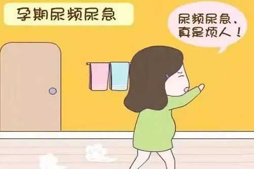 孕期尿路感染了对宝宝有影响不(孕妇尿完又想尿,下面老是有尿意) 第2张 孕期尿路感染了对宝宝有影响不(孕妇尿完又想尿,下面老是有尿意) 第2张