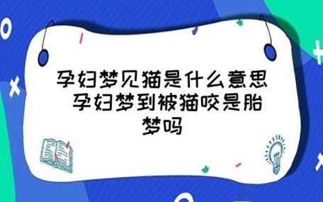 猫怕孕妇是怎么回事,孕期梦见猫是胎梦吗 第2张 猫怕孕妇是怎么回事,孕期梦见猫是胎梦吗 第2张