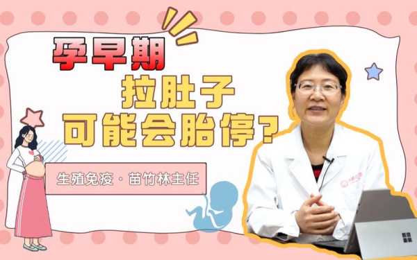 孕早期腹泻是胎停吗,孕初期拉肚子对胎儿有影响吗百度 第1张 孕早期腹泻是胎停吗,孕初期拉肚子对胎儿有影响吗百度 第1张