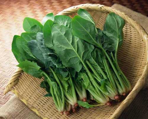 孕妇吃菠菜对胎儿好吗(菠菜保胎还是滑胎) 第1张 孕妇吃菠菜对胎儿好吗(菠菜保胎还是滑胎) 第1张