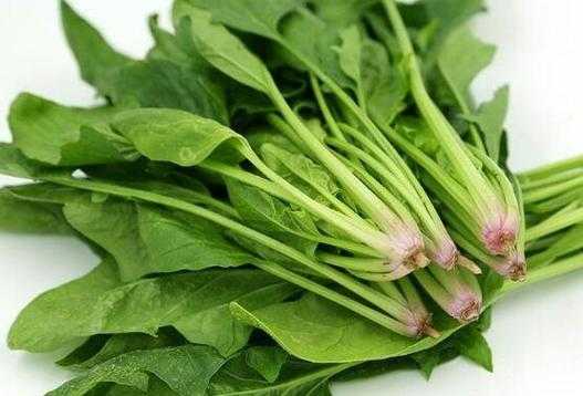孕妇吃菠菜对胎儿好吗(菠菜保胎还是滑胎) 第2张 孕妇吃菠菜对胎儿好吗(菠菜保胎还是滑胎) 第2张