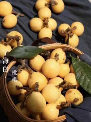 孕期可以吃枇杷吗(孕妇枇杷吃多了会怎样) 第2张 孕期可以吃枇杷吗(孕妇枇杷吃多了会怎样) 第2张