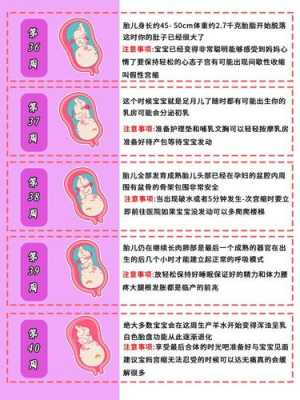 怀孕胎儿发育过程图片(小孩子的成长怎么写啊) 第3张 怀孕胎儿发育过程图片(小孩子的成长怎么写啊) 第3张