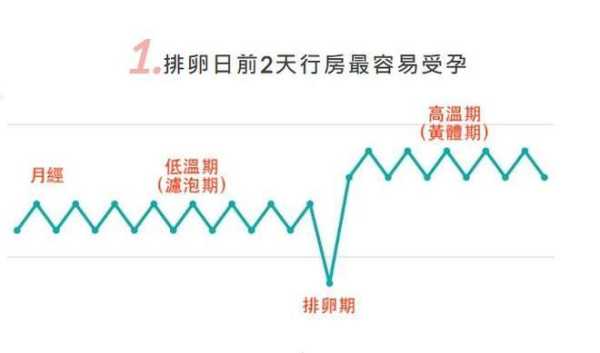 怀上女孩有几个状态,孕期会排卵吗? 第1张 怀上女孩有几个状态,孕期会排卵吗? 第1张