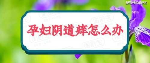 孕期外阴痒怎么办,孕期下面外面瘙痒怎么办 第3张 孕期外阴痒怎么办,孕期下面外面瘙痒怎么办 第3张