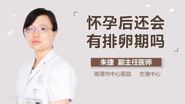 孕期还会排卵吗（孕期还会排卵吗?）  第2张