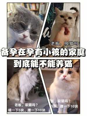 怀孕期间可以养猫和狗吗,备孕和怀孕期间能养猫吗 第1张 怀孕期间可以养猫和狗吗,备孕和怀孕期间能养猫吗 第1张