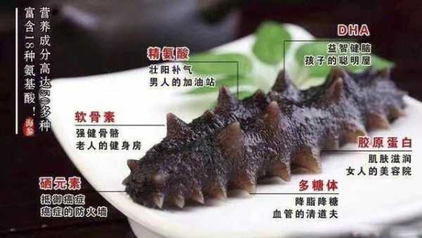 孕妇吃海参可以吗,怀孕期间能吃海参吗有什么好处 第2张 孕妇吃海参可以吗,怀孕期间能吃海参吗有什么好处 第2张