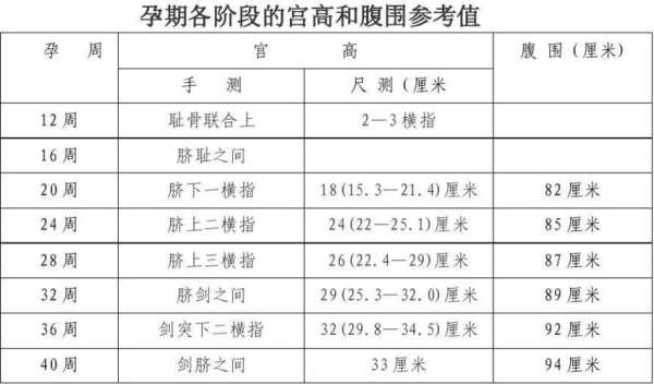 孕期宫颈长度正常范围(孕期宫颈长度正常范围表) 第1张 孕期宫颈长度正常范围(孕期宫颈长度正常范围表) 第1张