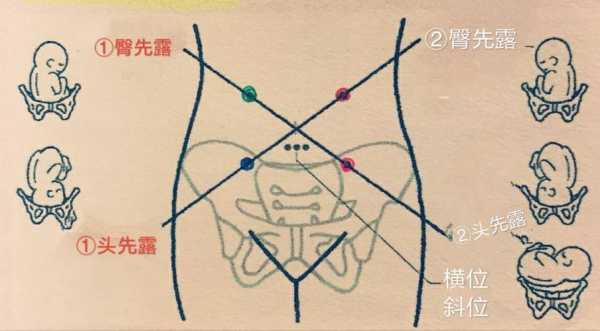 怀孕16周听胎心在哪个位置?是在阴毛上面一点部位吗,16周孕妇标准的肚子图 第1张 怀孕16周听胎心在哪个位置?是在阴毛上面一点部位吗,16周孕妇标准的肚子图 第1张