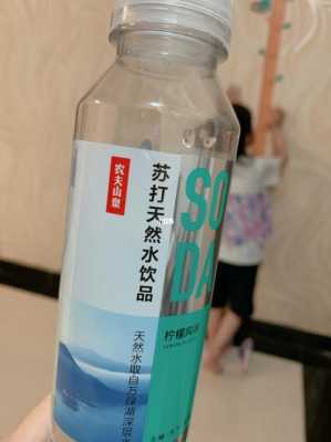孕期反应胃反酸可以喝苏打水吗,孕妇喝苏打水有什么作用和功效 第2张 孕期反应胃反酸可以喝苏打水吗,孕妇喝苏打水有什么作用和功效 第2张
