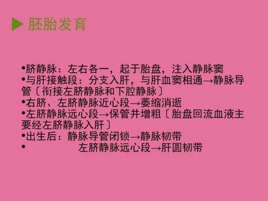 胎儿永久性右脐静脉是什么意思(胎儿永久性右脐静脉是什么意思) 第2张 胎儿永久性右脐静脉是什么意思(胎儿永久性右脐静脉是什么意思) 第2张