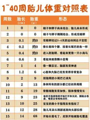 胎儿 正常体重(胎儿正常体重范围是多少) 第2张 胎儿 正常体重(胎儿正常体重范围是多少) 第2张