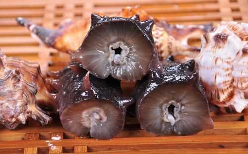 孕期可以吃海参吗(怀孕几个月能吃海参) 第1张 孕期可以吃海参吗(怀孕几个月能吃海参) 第1张