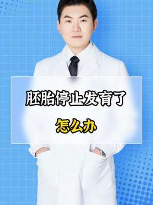 胎儿停止发育怎么办(胎儿停止发育怎么办啊) 第2张 胎儿停止发育怎么办(胎儿停止发育怎么办啊) 第2张