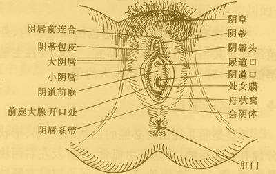 孕期下面痒怎么办(阴道口发痒怎么办) 第2张 孕期下面痒怎么办(阴道口发痒怎么办) 第2张