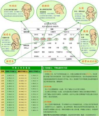 胎儿什么时候有胎心(胎儿几周可以听到胎心) 第3张 胎儿什么时候有胎心(胎儿几周可以听到胎心) 第3张