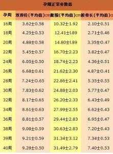 37周胎儿股骨长标准（37周胎儿股骨长标准对照表）  第2张