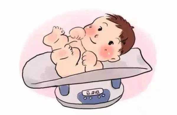 胎儿b超hc是什么意思,ac是胎儿的什么意思 第3张 胎儿b超hc是什么意思,ac是胎儿的什么意思 第3张