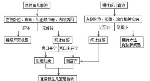 胎儿窘迫是什么意思,胎儿窘迫名词解释妇产科 第2张 胎儿窘迫是什么意思,胎儿窘迫名词解释妇产科 第2张