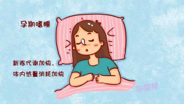 孕期困(怀孕会犯困吗) 第2张 孕期困(怀孕会犯困吗) 第2张