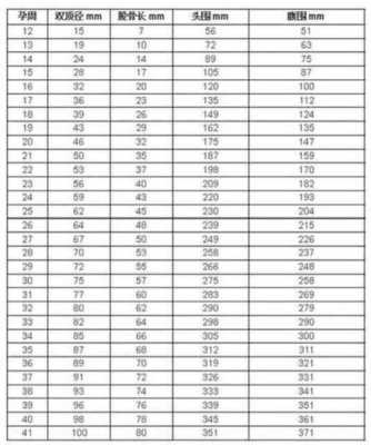 胎儿头臀长标准对照表（12周胎儿头臀长标准对照表）  第1张