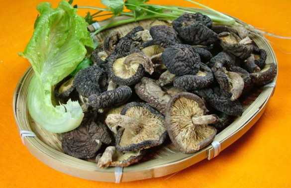 孕妇吃香菇好不好,孕妇吃香菇对胎儿好吗吗 第3张 孕妇吃香菇好不好,孕妇吃香菇对胎儿好吗吗 第3张