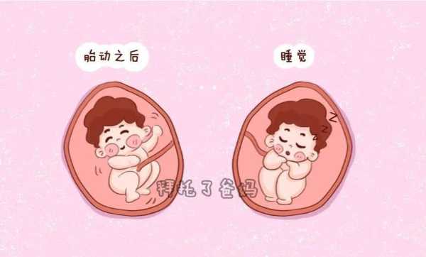 胎儿睡觉的时候会有胎动吗（胎儿睡觉的时候会有胎动吗）  第2张
