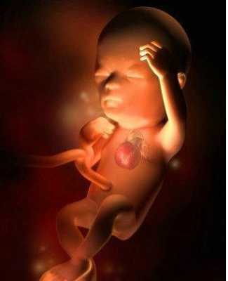 14周的胎儿有多大图片（14周肚子多大）  第2张