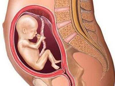 胎儿在肚子里打嗝是什么感觉（孕期胎儿在肚子里打嗝是什么感觉）  第1张