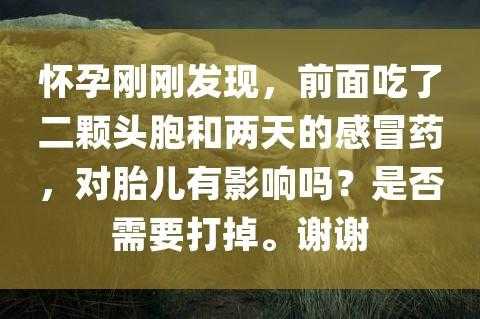 不知道自己怀孕40多天,吃了感冒药和妇科药,对胎儿有影响吗,刚怀孕就感冒了对胎儿有影响吗,没有用药 第2张 不知道自己怀孕40多天,吃了感冒药和妇科药,对胎儿有影响吗,刚怀孕就感冒了对胎儿有影响吗,没有用药 第2张