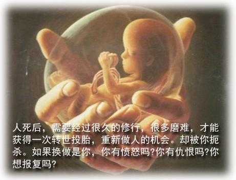 引产后的胎儿有怨气吗(引产后该不该看一眼孩子) 第2张 引产后的胎儿有怨气吗(引产后该不该看一眼孩子) 第2张