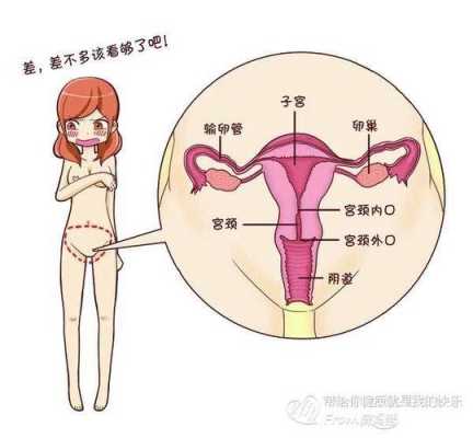 阴道炎会影响胎儿吗(妇科炎症影响胎儿发育吗) 第1张 阴道炎会影响胎儿吗(妇科炎症影响胎儿发育吗) 第1张