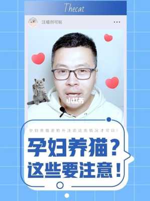 孕妇养猫的十大禁忌,备孕和孕期可以养猫吗 第3张 孕妇养猫的十大禁忌,备孕和孕期可以养猫吗 第3张