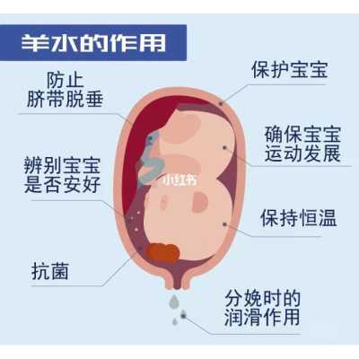 胎儿羊水偏少怎么办（羊水少怎么补）  第2张