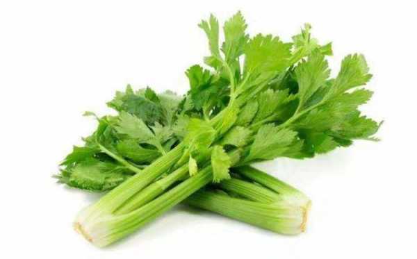 孕期能吃芹菜吗(孕妇血压高可以吃芹菜降血压吗) 第2张 孕期能吃芹菜吗(孕妇血压高可以吃芹菜降血压吗) 第2张