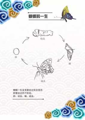 孕期梦见黄瓜(庄公梦蝴蝶是怎么回事) 第1张 孕期梦见黄瓜(庄公梦蝴蝶是怎么回事) 第1张