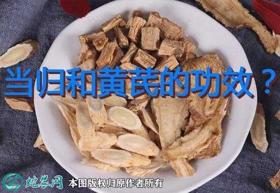 孕期能吃当归吗(孕妇可以喝当归,黄芪吗) 第2张 孕期能吃当归吗(孕妇可以喝当归,黄芪吗) 第2张
