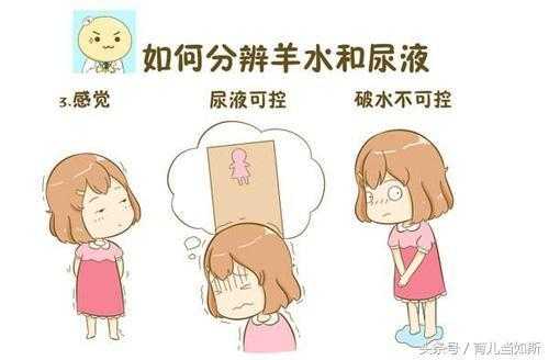 孕期下面流水（下体会流水但无色无味是怎么回事）  第3张
