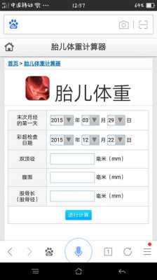 胎儿大小在线计算器(胎儿大小在线计算器mm) 第1张 胎儿大小在线计算器(胎儿大小在线计算器mm) 第1张