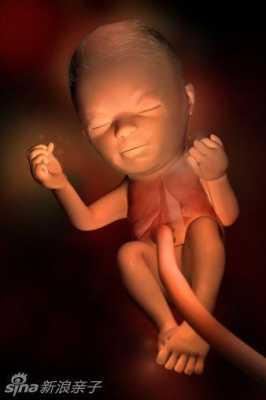 孕五个月胎儿真实图片（怀孕5个月有时胎动多，有时少，正常吗）  第1张