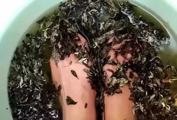 怀孕初期可以泡脚吗,怀孕期间可以泡脚吗艾叶泡脚吗 第1张 怀孕初期可以泡脚吗,怀孕期间可以泡脚吗艾叶泡脚吗 第1张