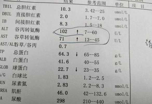 孕期谷丙转氨酶偏高（肝功能谷丙转氨酶升高是怎么回事）  第1张