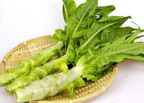 孕妇可以吃莴笋叶吗,孕期不能碰的18种蔬菜 第1张 孕妇可以吃莴笋叶吗,孕期不能碰的18种蔬菜 第1张